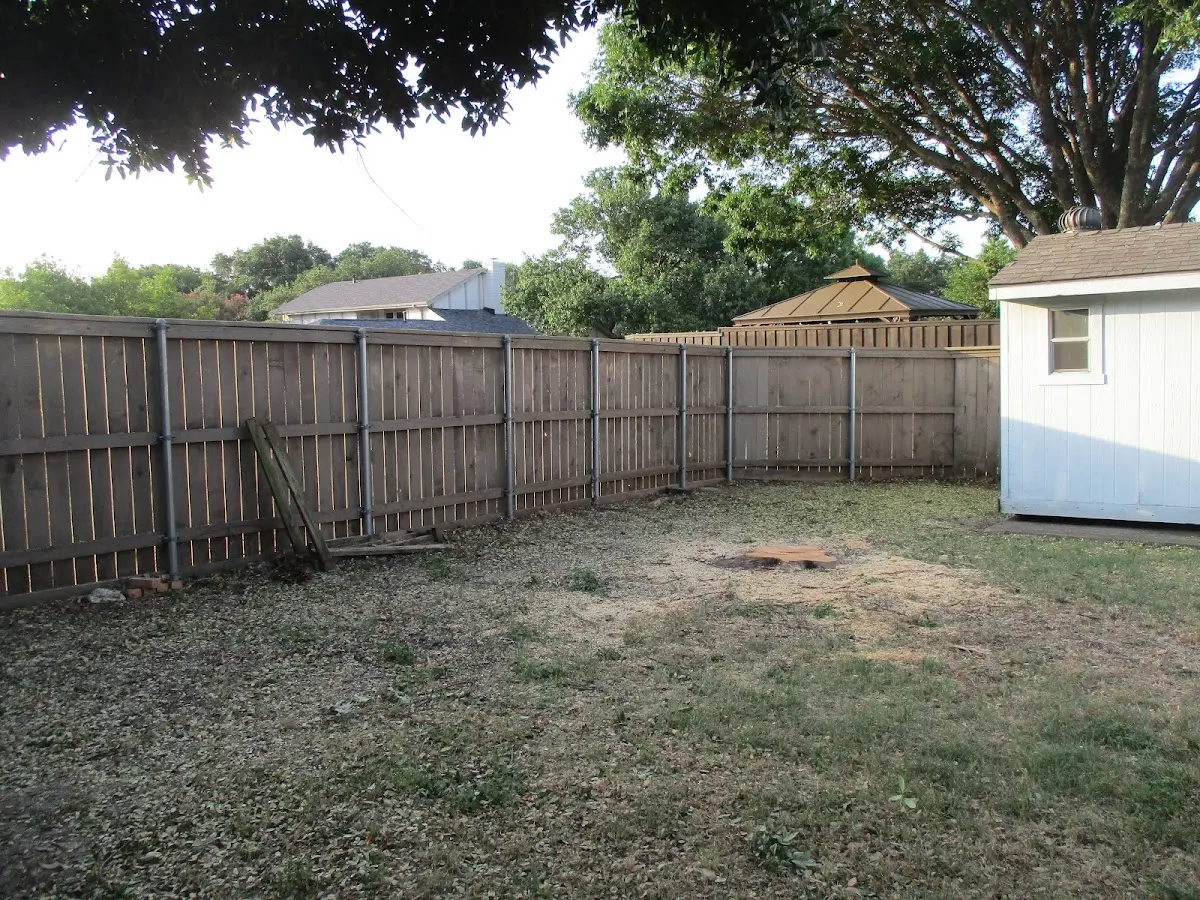 Cleared yard after professional tree removal in Pinos Altos